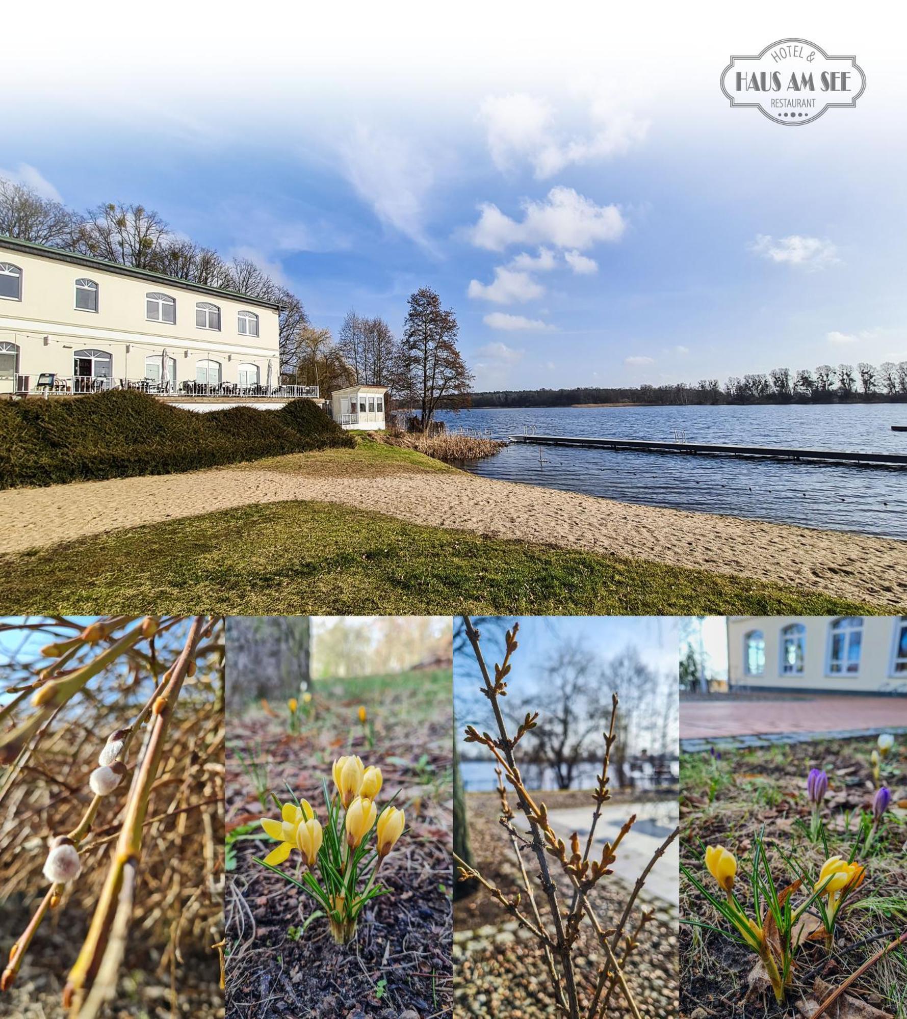 Hotel & Restaurant Haus Am See Locknitz Ngoại thất bức ảnh